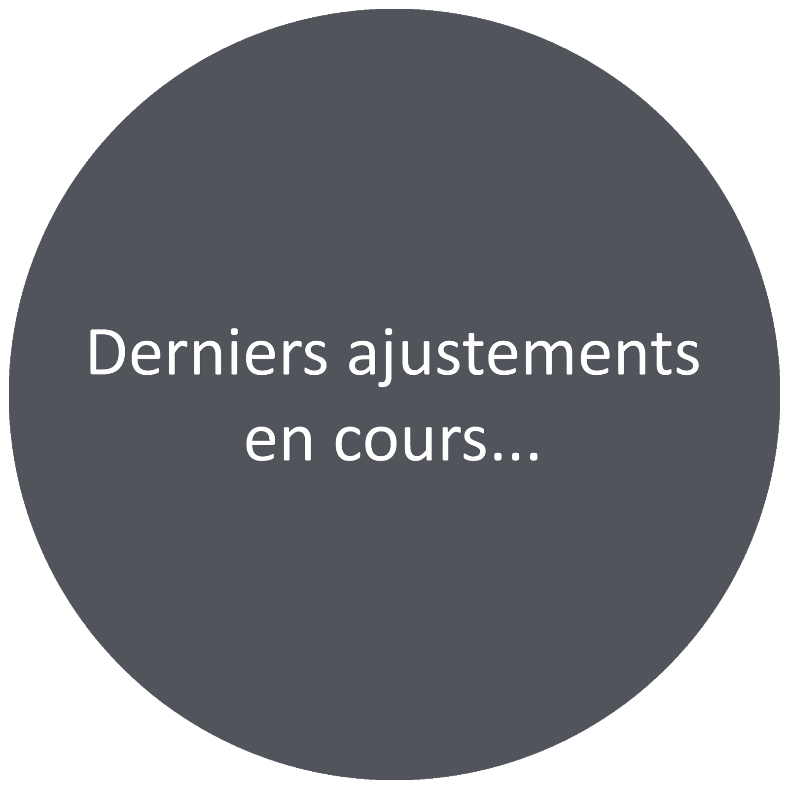 PORTE-MUNITIONS FLASH BALL SUPER PRO 2 1 PORTE-MUNITIONS FLASH BALL SUPER PRO 2