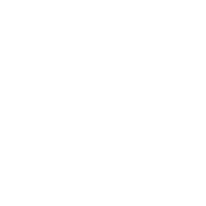 logo armurerie shelby ffffff